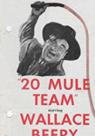 20 Mule Team